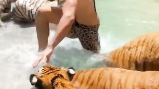 TIGER FRIENDSHIP WITH HUMANS WHO LOVE IT