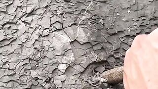 ‘X’ Marks the Fossil ???? 2