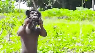 Try to not laugh must wtch New entertainment video
