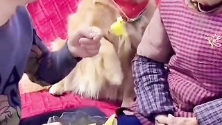 Khud kyun khaya???