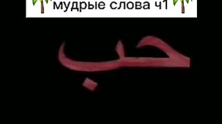 Мудрые слова 2