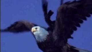 Мощная история