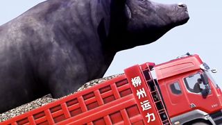 Truk Trailer 46