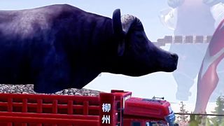Truk Trailer 44