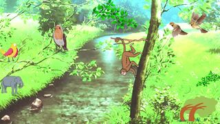 BEAUTIFULL JUNGLE VIDEO