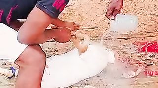 Comment enlever les poils d'un chèvre avec de l'eau chaude