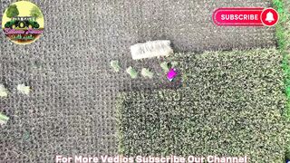 How we earn more than our expectationsfrom modern agriculture