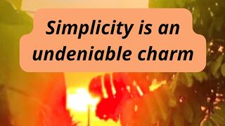 Simplicity is an undeniable charm