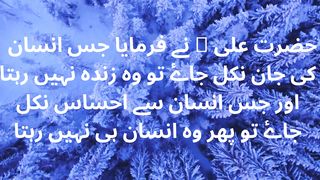Aqwal e zareen in Urdu حضر