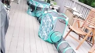funny,funny videos,funny video,funny videos 2023,funny vines,funny fails,funny moments,new funny video,funny vedio,funny video 2023,full funny