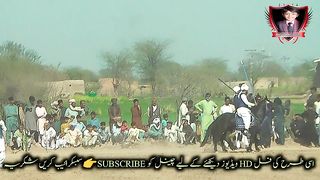 #hoers#riding in#jhamra#darbarkala#shah 11