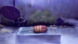 Larva cartoon 59