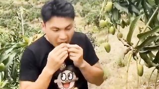 CHINESE COMEDY