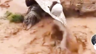 La chute