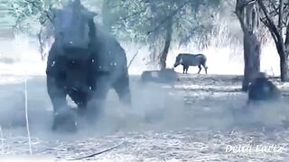 गैंडों की खतरनाक लड़ाई  | Deadliest Fights Between Rhinos and Other Animals