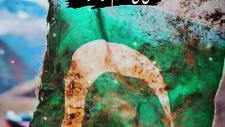 14 August poetry