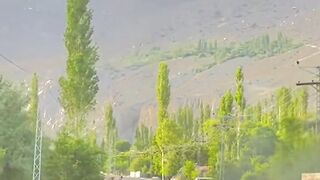 Gilgit Baltistan Valley Beauty's