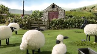 Sheep 4