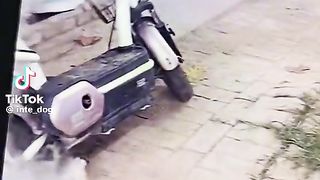 Itnaa Samjhdaar Kutaa Zabardast