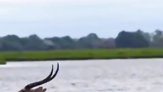 Agar Jazbhaa Jeet Ka Ho To Qamyabi