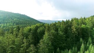 Viral Meditation Music | Stress Relief Music | Relaxing Rubab | Beautiful Music