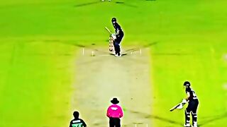 Cricket 58