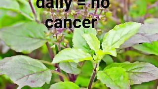 Health tips 10