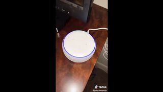 Funny TikTok Compilation #5