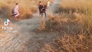 واہ بلوچ واہ 2