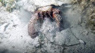 Underwater Excavation