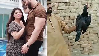 Aseel Murga video