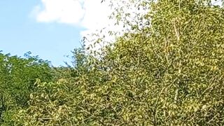 Beautiful nature 78