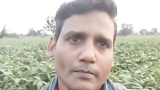 सोयाबीन में फूल आते समय किसान यह गलती भूलकर भी न करें
