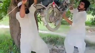 www. Funny video. Com