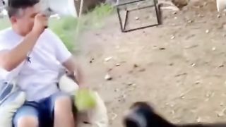 Funny Vedios Comedy Vedios