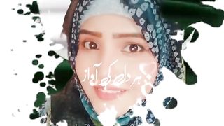 Pakistan independence Day by Shaista Adil