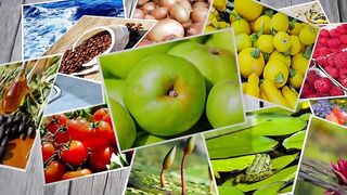 Food Pictures