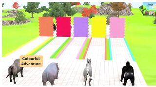 Pic The Right Wall With Elephant Gorilla Buffalo Zebra Hippopotamus Wild Animal Matching Game
