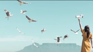 Most Dangerous Birds in the world