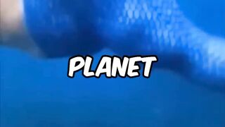 If you laugh, you restart pt 15