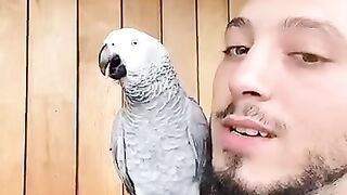 Wow what a funny parrot !