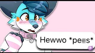 Furry memes that will give you a pet femboy