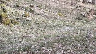 Beautiful nature 79