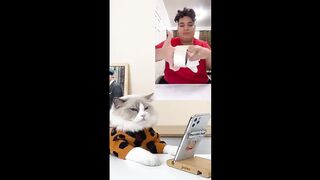 Cats_make_food_2022_That_Little_Puff_Tiktok_Compilation