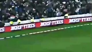 Cricket ???? best shot ????
