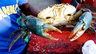 ⚠️ Alive Giant Big Crabs Fastest Cleaning and Cutting | Crab Cutting Technique