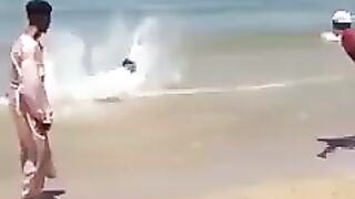 frolic on the shore ( пиши, как бы ты назвал это видео? )