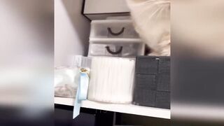 Funny animals - Funny cats / dogs - Funny animal videos