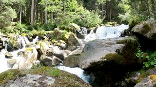 Water relaxing video