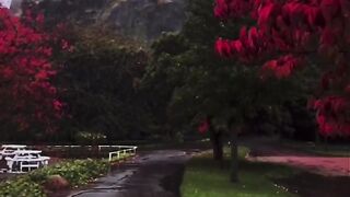 Nature and love